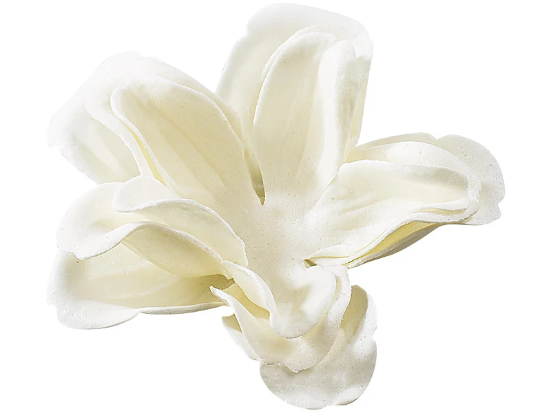PEARL Bade-Kosmetik Rose:6 Cremeweiße Rosen-Duftseifen In Geschenk-Box, 2er Pack 6 PEARL Bade-Kosmetik Rose:6 Cremeweiße Rosen-Duftseifen In Geschenk-Box, 2er Pack – Bild 6
