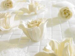 PEARL Bade-Kosmetik Rose:6 Cremeweiße Rosen-Duftseifen In Geschenk-Box, 2er Pack 15 PEARL Bade-Kosmetik Rose:6 Cremeweiße Rosen-Duftseifen In Geschenk-Box, 2er Pack -Newgen medicals Shop nc3180 2 1