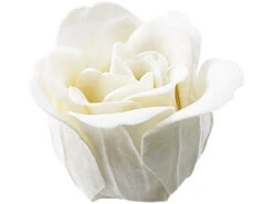 PEARL Bade-Kosmetik Rose:6 Cremeweiße Rosen-Duftseifen In Geschenk-Box, 2er Pack 11 PEARL Bade-Kosmetik Rose:6 Cremeweiße Rosen-Duftseifen In Geschenk-Box, 2er Pack -Newgen medicals Shop nc3180 7 1