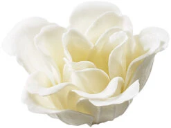 PEARL Bade-Kosmetik Rose:6 Cremeweiße Rosen-Duftseifen In Geschenk-Box, 2er Pack 13 PEARL Bade-Kosmetik Rose:6 Cremeweiße Rosen-Duftseifen In Geschenk-Box, 2er Pack -Newgen medicals Shop nc3180 9 1