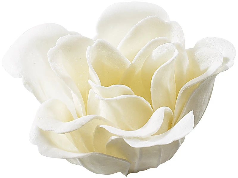 PEARL Bade-Kosmetik Rose:6 Cremeweiße Rosen-Duftseifen In Geschenk-Box, 2er Pack 5 PEARL Bade-Kosmetik Rose:6 Cremeweiße Rosen-Duftseifen In Geschenk-Box, 2er Pack – Bild 5