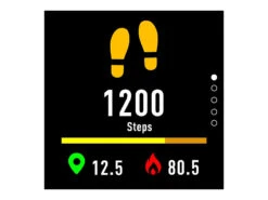 Newgen Medicals GPS Smartwatch:GPS-Sportuhr, Always-On-Display, Bluetooth, App,Versandrückläufer 33 Newgen Medicals GPS Smartwatch:GPS-Sportuhr, Always-On-Display, Bluetooth, App,Versandrückläufer -Newgen medicals Shop nx4622 10