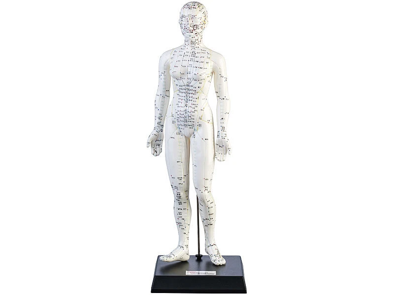 Newgen Medicals Akupunktur Modell:Akupunktur-Figuren 2er-Set (Mann/Frau) 1 Newgen Medicals Akupunktur Modell:Akupunktur-Figuren 2er-Set (Mann/Frau)