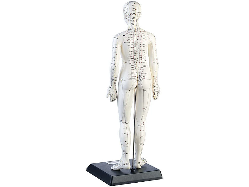 Newgen Medicals Akupunktur Modell:Akupunktur-Figuren 2er-Set (Mann/Frau) 2 Newgen Medicals Akupunktur Modell:Akupunktur-Figuren 2er-Set (Mann/Frau) – Bild 2